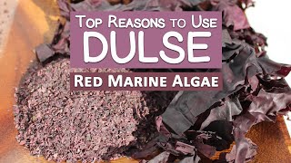 Top Reasons to Use Dulse Seaweed, Why It's Our Favorite screenshot 2