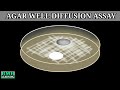 Agar well diffusion assay  determination of mic by agar diffusion method 