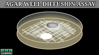 Agar Well Diffusion Assay Determination Of Mic By Agar Diffusion Method 
