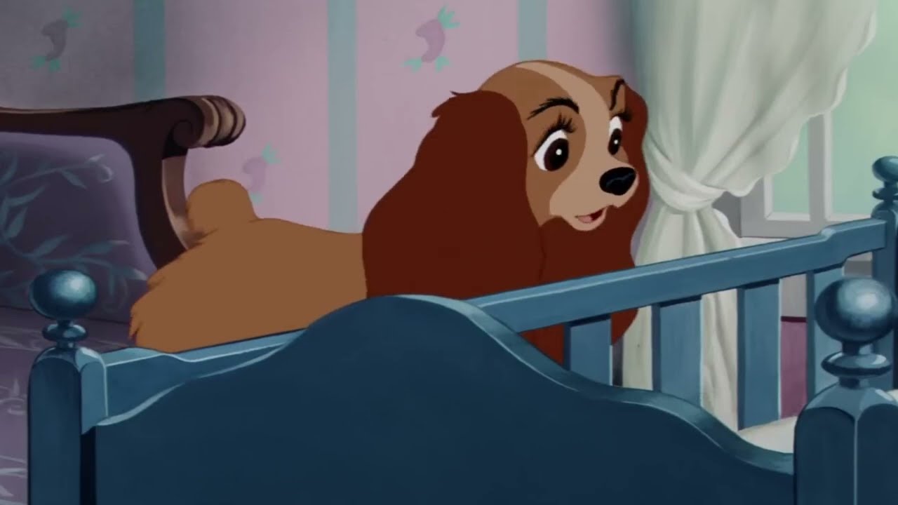 Lady Scene Pack part 4 | Lady and the Tramp