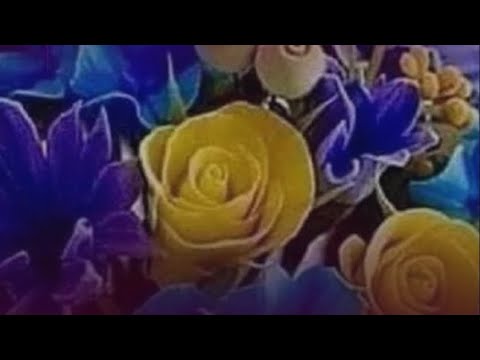 ما عاد بدري
