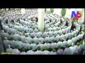 Hasbi Rabi JallAllah Original