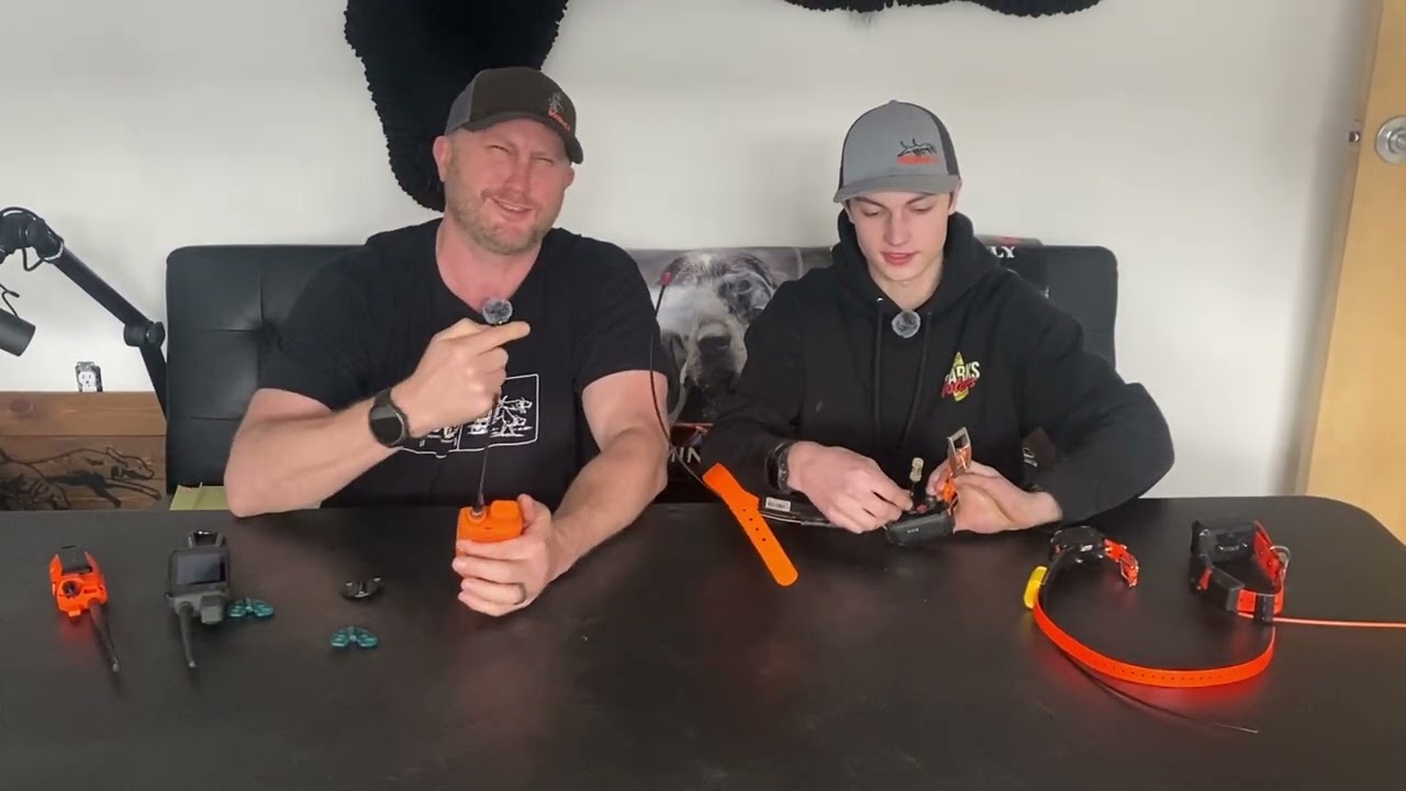 Eseek Stimulation testing and comparison with Garmin And Dogtra training collars.