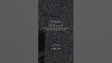 محمد اللحيدان | سورة الزمر (أفمن شرح الله صدره للإسلام …)