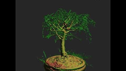 OpenGL Bonzai Tree Visualization (EE 590A @ University of Washington)