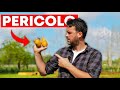 COLTIVARE le PATATE: perchÃ¨ NON DOVRESTI metterle nell'ORTO
