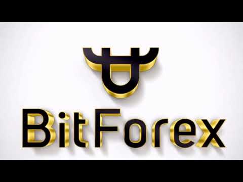 Bitforex: description (registration).