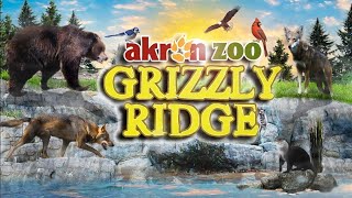 Zoo Tours Ep  90: The Akron Zoos Grizzly Ridge