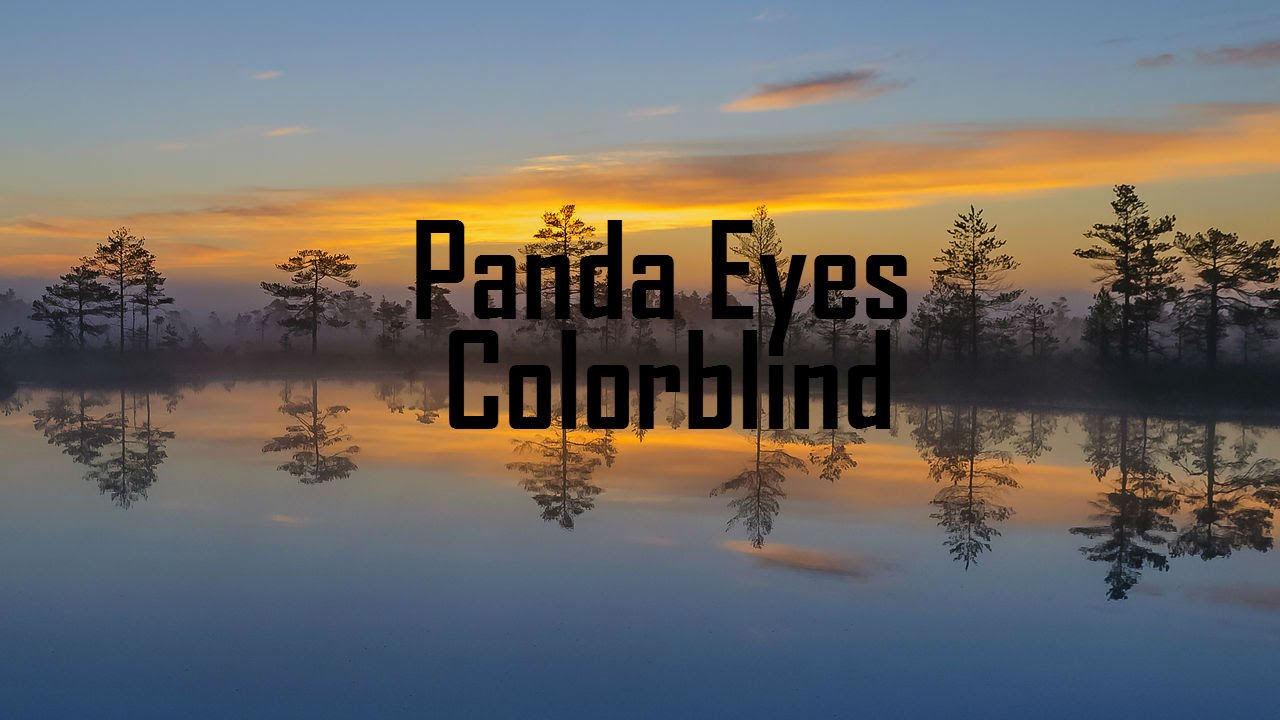 [Electro] Panda Eyes - Colorblind - YouTube