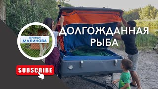 картинка: НОЧНАЯ РЫБАЛКА НА ДОНКУ/рыба заставила меня расплакаться