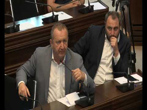 თითი ჩაწიე კი არა, სხვა რამე არ აგიწიო - მწვავე დაპირისპირება ჭიჭინაძე-საგანელიძეს შორის