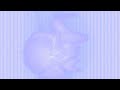 Live Visual Art experiments with sound and light fractals.