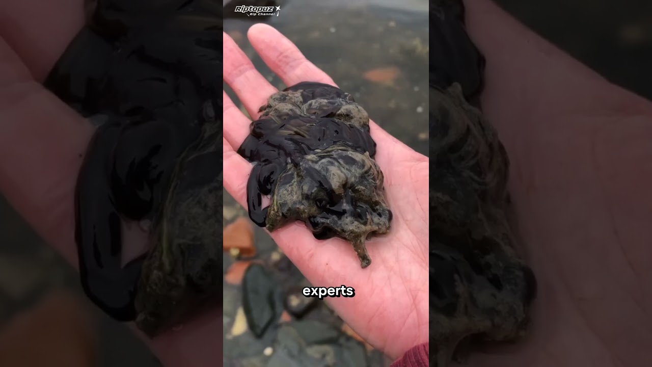 Таинственная субстанция, похожая на симбиота Венома