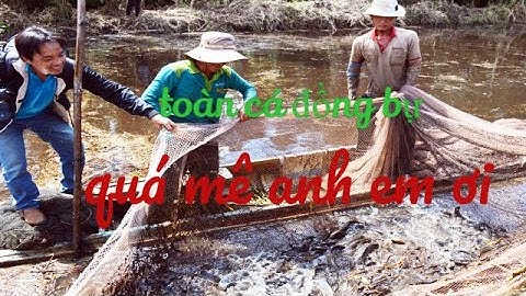 Quá mê cảnh chụp đìa bắt hàng trăm ký cá đồng giữa rừng - Đất Mũi Vlog 62