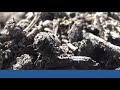 Fire acreage increasing while amount of fires starting is decreasing