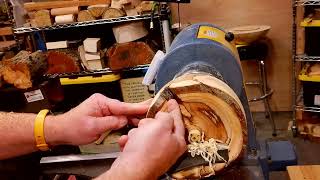 Setting the Rim Thickness on a Live Edge (and keeping the bark!)