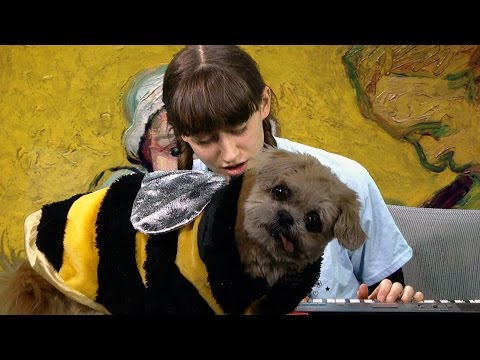 Frankie Cosmos - Your Name ft. Marnie the Dog (Live on The BJ Rubin Show)