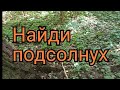 Муж удивил подарком + поход за грибами и подсолнух)