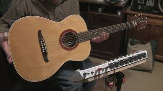 HARMONY FENDER OM DEMO
