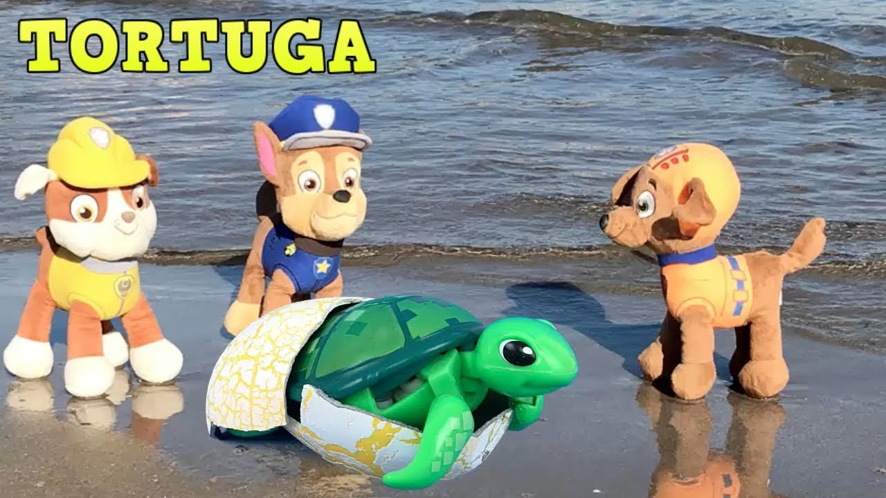 playa mujeres Patrulla canina español y paw patrol bebes salvan tortuga de juguete en playa.Nuevo video cachorros