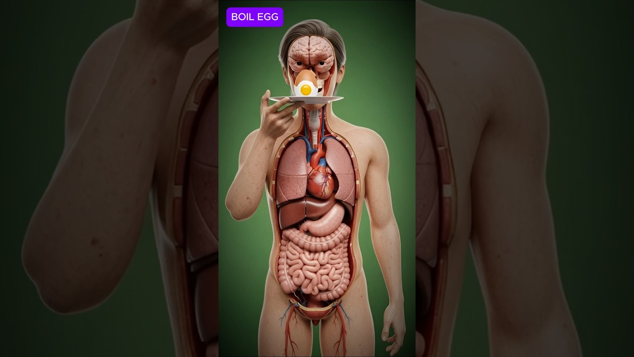 Boil Egg inside your Body 
