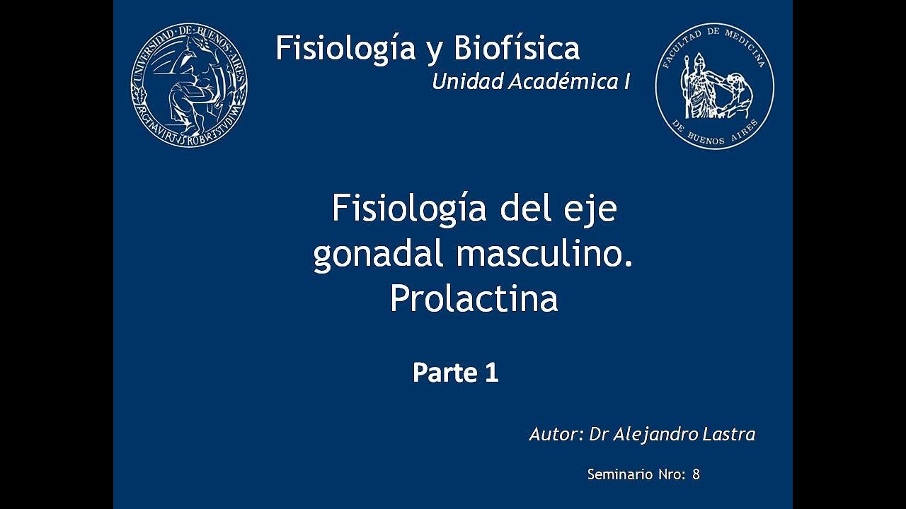 FISIOLOGÍA DEL EJE GONADAL MASCULINO. PROLACTINA (PARTE 1/2): video thumbnail