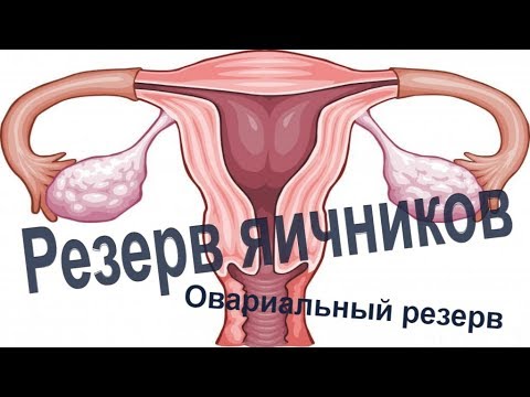 Video: Anti-Müllerian Hormón - Norma, Zvýšená Alebo Znížená, Keď Pominú