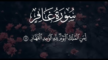 تلاوة هادئة جدا ومريحة | من سورة غافر | حسام ابراهيم