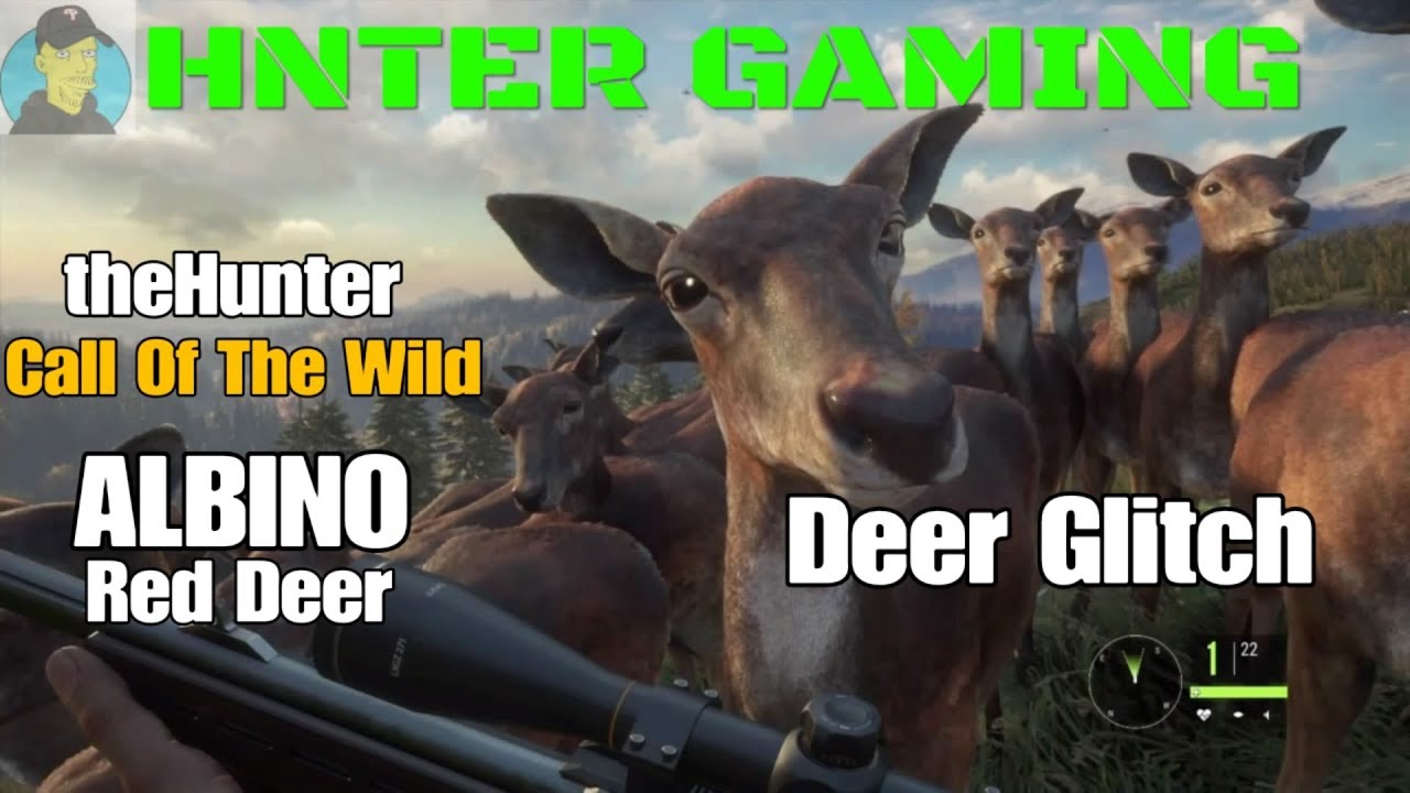 theHunter Call of the Wild ALBINO Deer Glitch YouTube