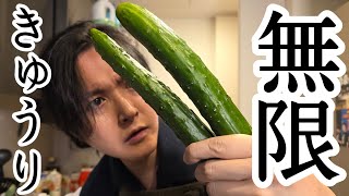 きゅうりの概念完全に変わんぞこれ【シン・たたききゅうり】