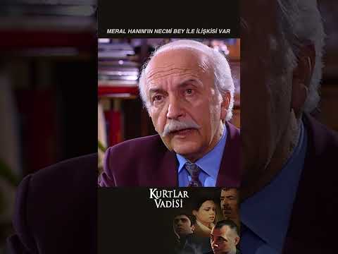 Meral Hanım'ın Necmi Bey ile İlişkisi Var - Kurtlar Vadisi | 38.Bölüm  #kurtlarvadisi #shorts