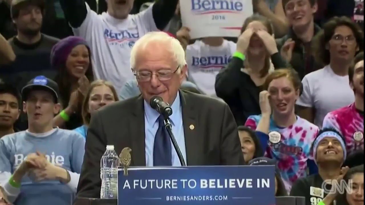 bernie bird vs trump attacked by eagle youtube