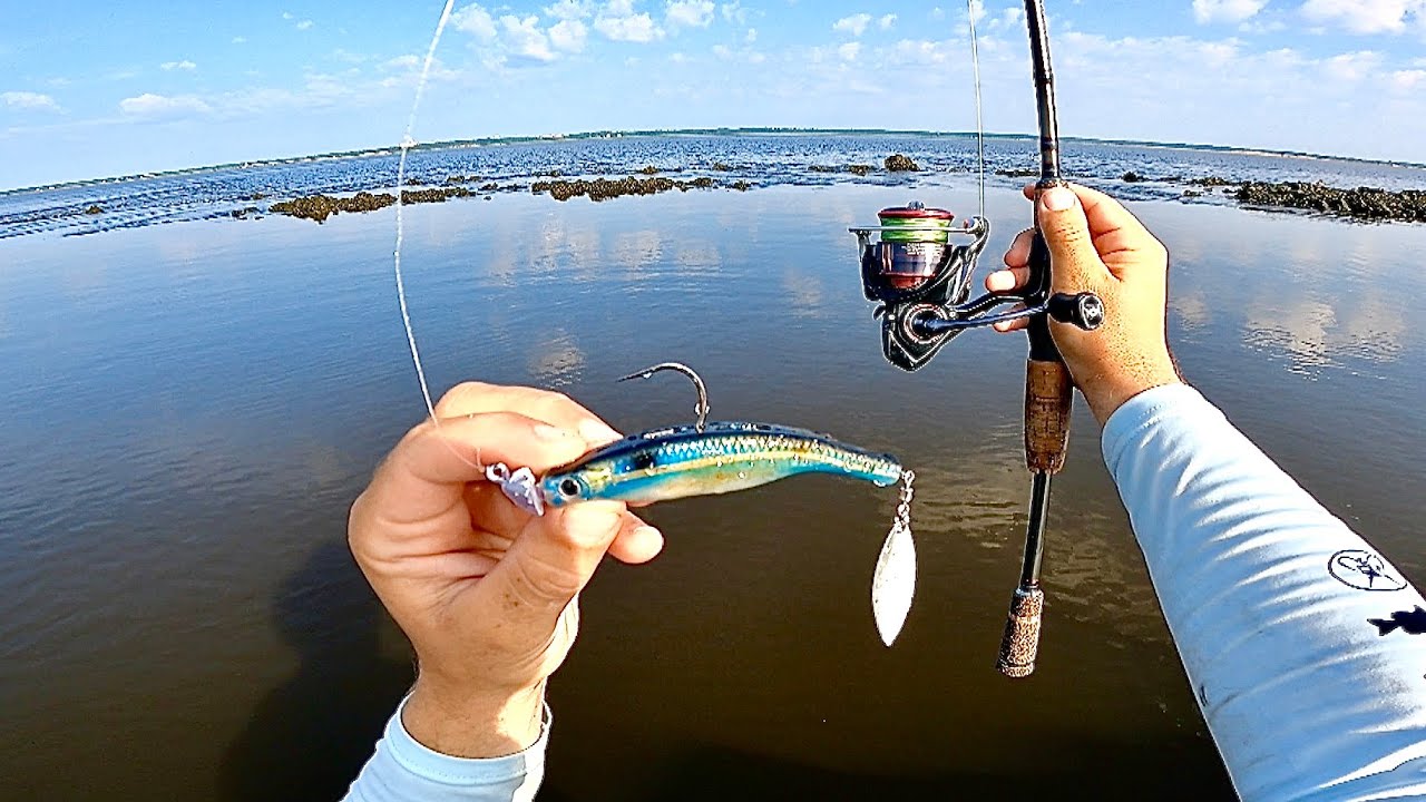 elias v fishing lures 6