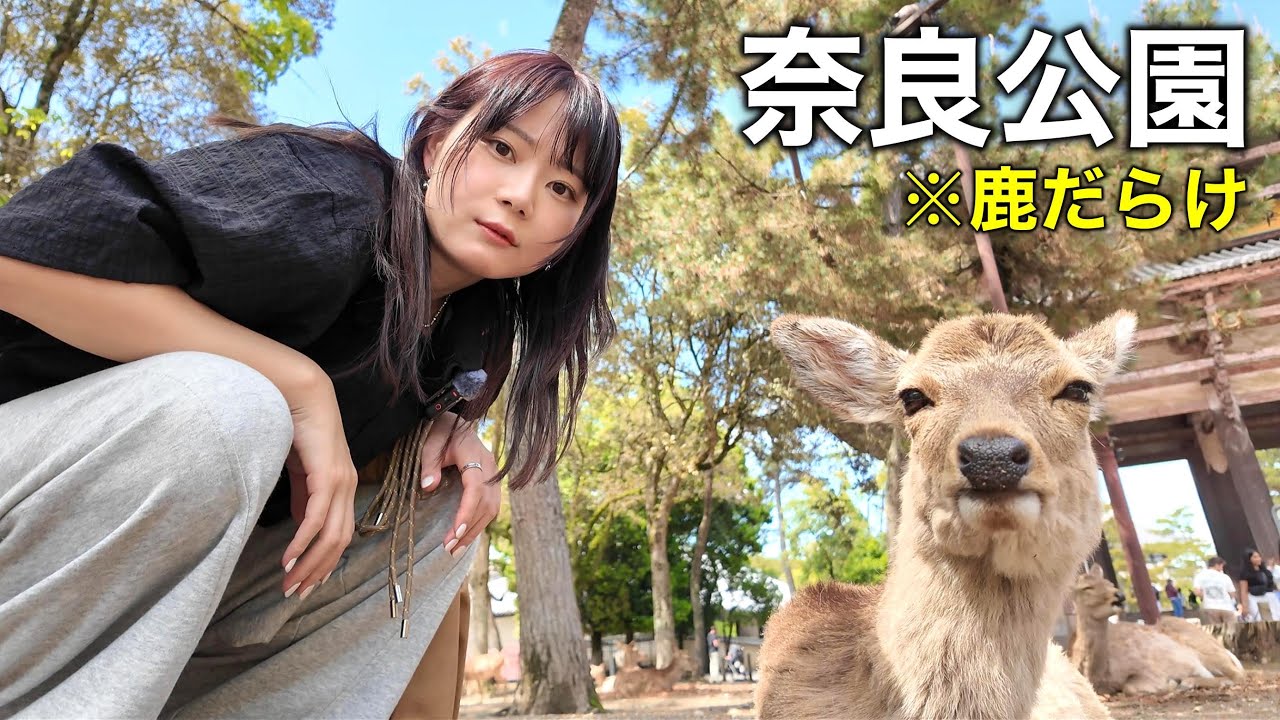 女1人、奈良公園で鹿と過ごす貧乏旅行がカオスすぎた | 公園デカすぎ事件
