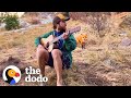 Wild fox comes to hear this guy play banjo every day  the dodo wild hearts