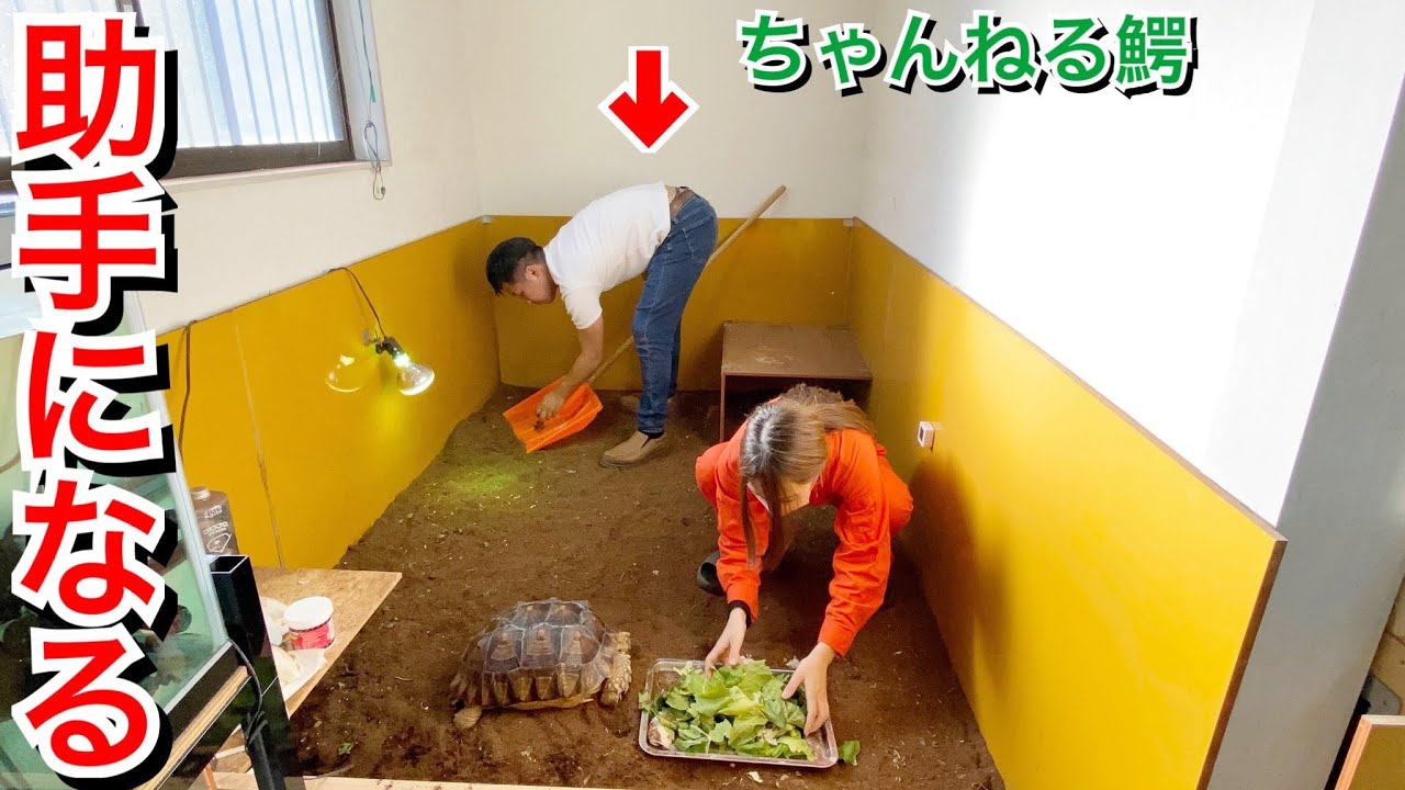 生き物YouTuberの家で助手として1日働いてみたら大変すぎた…