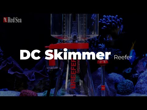 ReeferDCskimmer　レッドシーのDCタイプのプロテインスキマーが発売されました。詳しく紹介します。