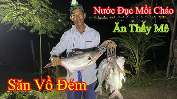 Fishing | Câu cá Vồ Đém làng bè Bình Thạnh cá ăn mạnh | Săn Bắt Mái Dầm