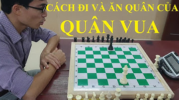 Cờ vua - Bài 5 - Cách đi và ăn quân của quân Vua - Dạy bé chơi cờ vua