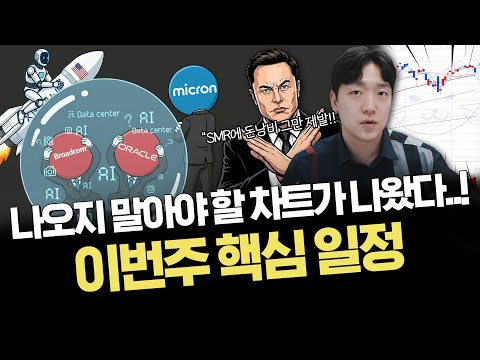 AI반도체 급락 이유｜이번주 돈은 어디로 움직일까?｜주요 이슈 정리