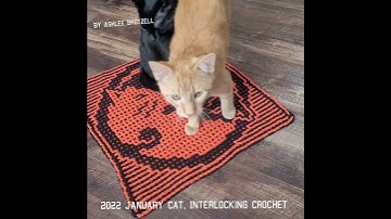 2022 January Cat: Interlocking Crochet square with kitties