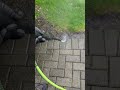 Greenworks Electric 1800 PSI 8K