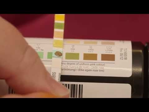 how-to-test-your-cat's-urine-for-substances-like-glucose-and-ketones