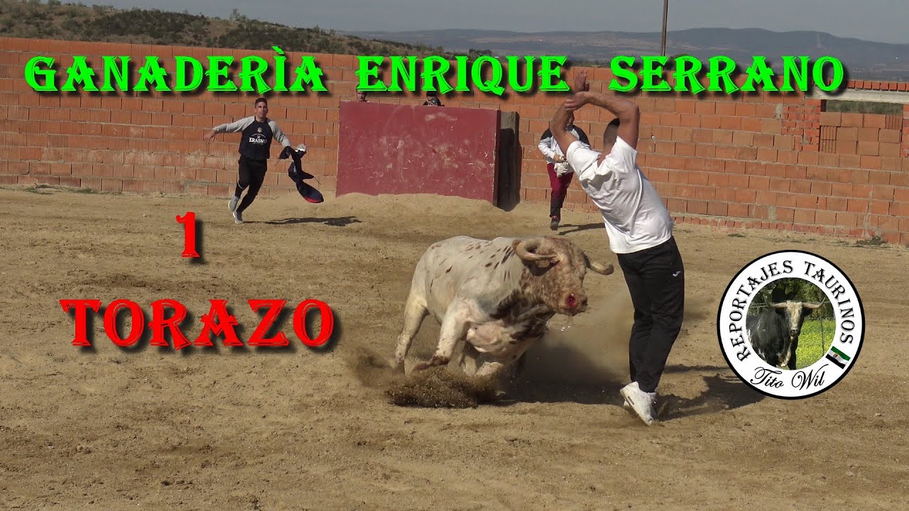 1 TORAZO RECORTADORES GANADERIA ENRIQUE SERRANO 4K
