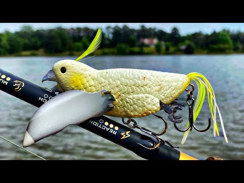 Fishing With The CRAZIEST Giant Bird Lure *Crazy Topwater Blowups