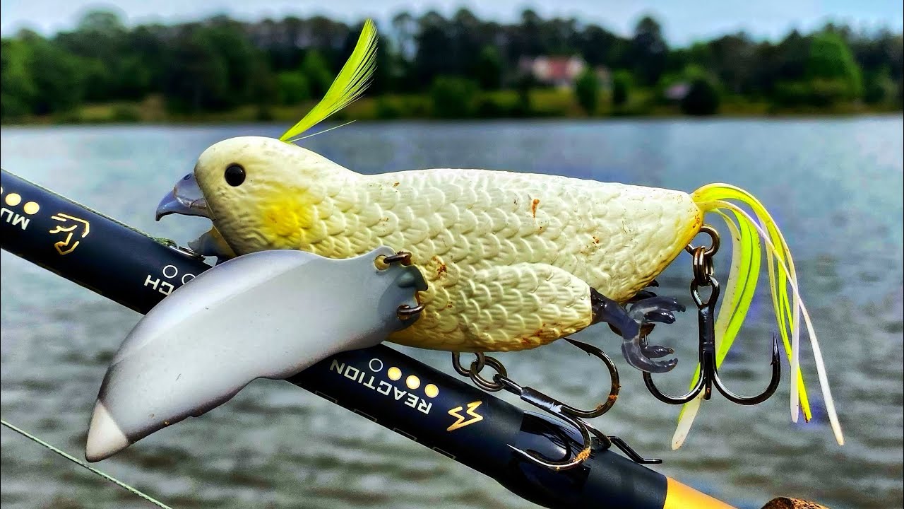 Fishing With The CRAZIEST Giant Bird Lure *Crazy Topwater Blowups* 