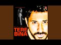 Tere bina