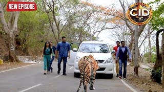 CID Team के सामने आ गया जब यह आदमखोर शेर || CID | TV Serial Latest Episode