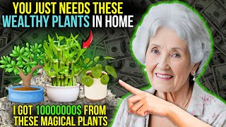 NEVER TAKE THIS PLANT OUT OF YOUR HOUSE - ATTRACT MONEY and WEALTH