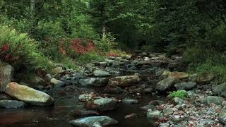 سورة مريم للشيخ هاني الرفاعي sourat maryam -hani rifai قراة مؤثرة جدا بدون إعلانات